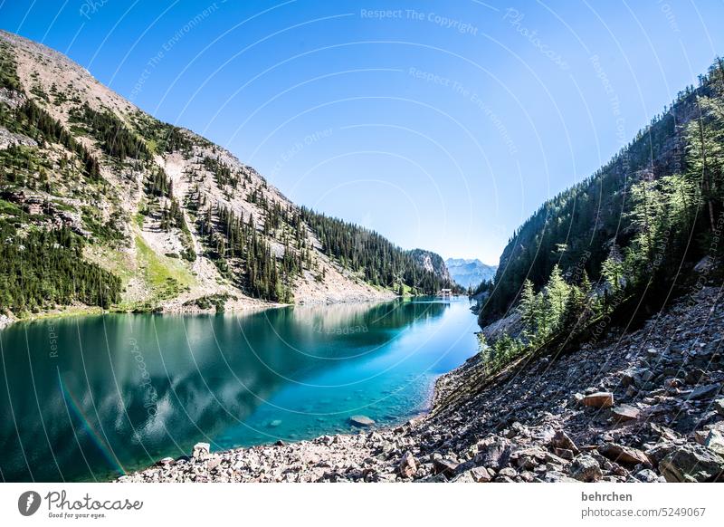 still ruht der see Reflexion & Spiegelung Wasser Lake Agnes stille friedlich Einsam Einsamkeit Banff National Park Bergsee Fernweh Ferne Rocky Mountains Kanada