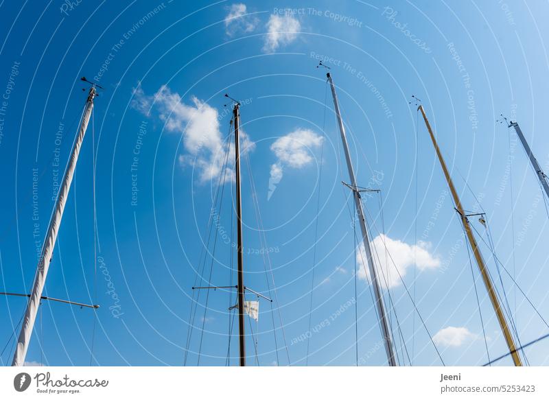 Blauer Himmel und Segelwetter Mast Segeln Boot Segelboot blau hoch Wasser Abenteuer Freiheit Wolken Segelschiff Meer See Sommer Schiff Segeltörn