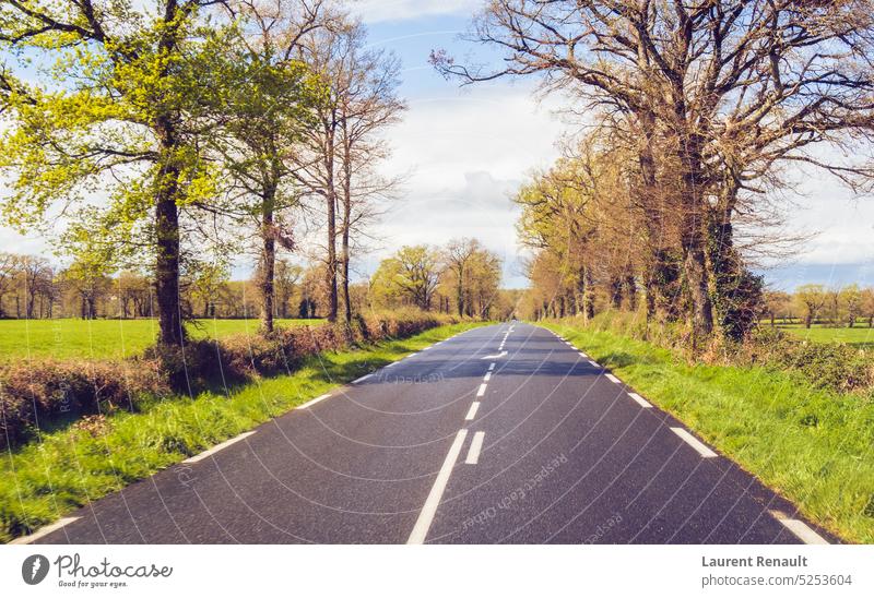 Fahren auf einer ländlichen französischen Landstraße Frankreich Asphalt Auto Landschaft Laufwerk fahren Französisch Linie Natur Straße Frühling reisen Baum