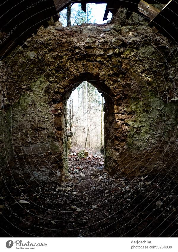 Eine alte zerfallene Kapelle mitten im  Wald. Ruine, kaputt Haus Mauer Zerstörung Verfall Wand Vergänglichkeit Gebäude Fassade Vergangenheit Menschenleer Tag