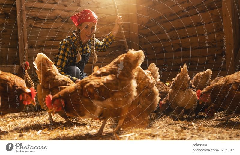 Stolze Hühnerzüchterin kümmert sich um ihre Hühner in einem Hühnerstall Inszenierung bewachen Mais Futter Frau Landwirtschaft Arbeit Person Deutschland Landfrau