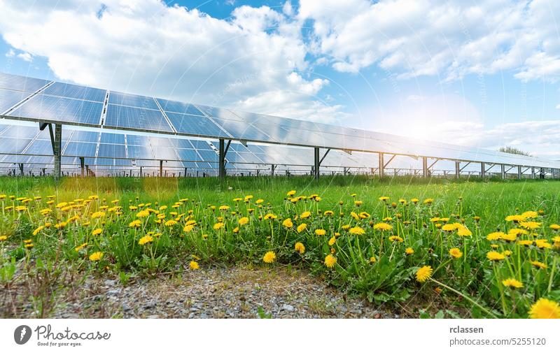Sonnenkollektor unter blauem Himmel mit Sonne. Löwenzahnwiese und bewölkter Himmel. Alternative Energie Konzept solar Panel sauberer Strom elektrisch