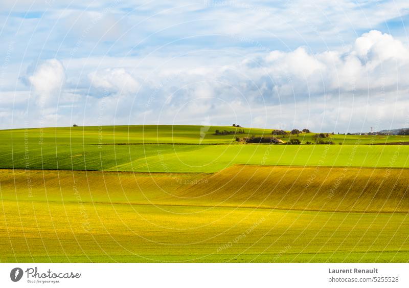 Ländliche Landschaft mit bewirtschafteten Feldern in der Umgebung von Calais Frankreich landwirtschaftlich Ackerbau kultiviert Morgendämmerung Bauernhof