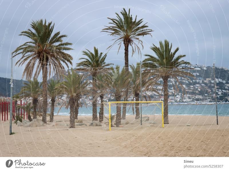 Spanische Palmen Spanien Strand Meer Volleyball Netz Tor Wind Herbst