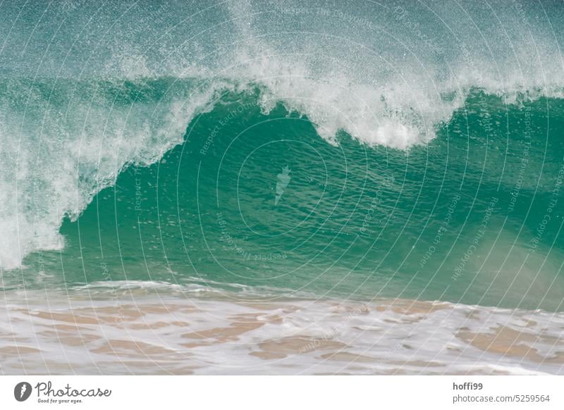 Eine große Welle bricht am Strand Wellen Atlantik Sommer Wasser Meer Gischt Wellengang türkis Brandung gigantisch stark Bewegung Energie Wärme Klima Cabo Verde