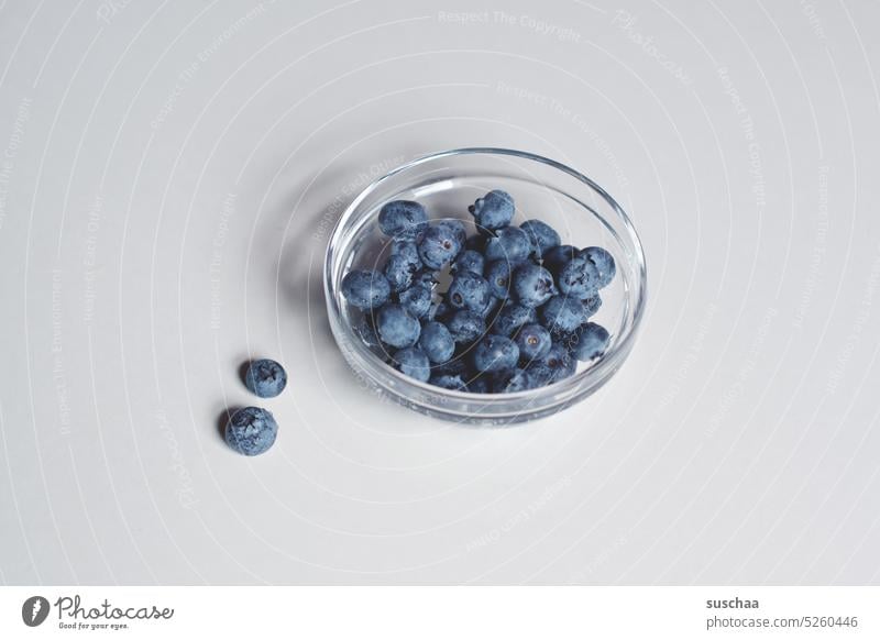 heidelbeeren Heidelbeeren Glasschale lecker naschen Beeren Blaubeere Frucht fruchtig süß blau rund Gesunde Ernährung Vegetarische Ernährung Lebensmittel frisch