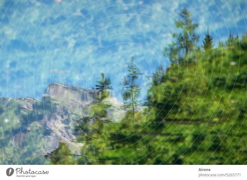 Wasserlandschaft Weiher Schiederweiher Alpenland glasklar traumhaft Bergwald Teich Wasseroberfläche Spiegelung himmelblau Wasserqualität Reflexion & Spiegelung