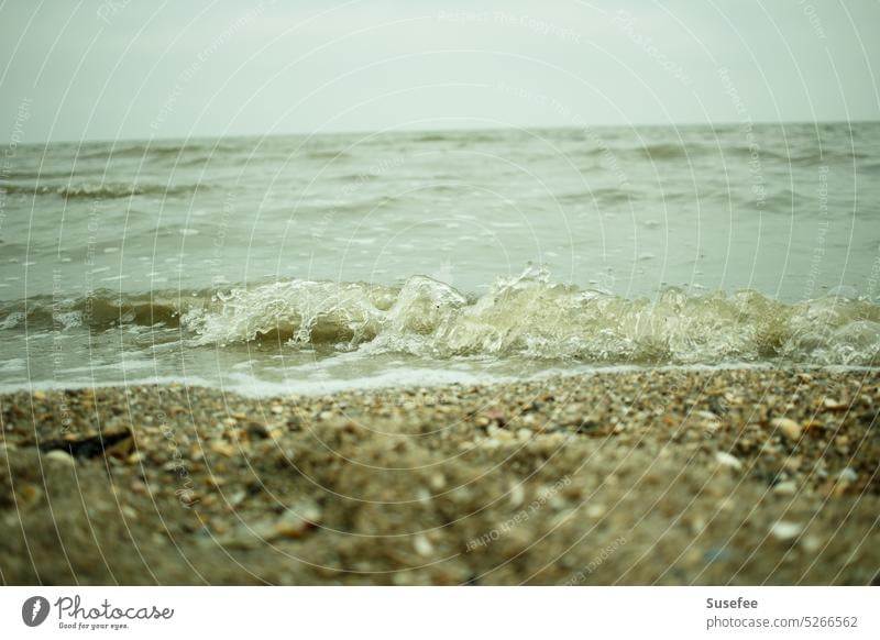 Meer spült an den Strand mit Horizont, Muscheln und Sand minimalistisch Minimalismus einfach Natur Landschaft Wasser Küste Einsam Einsamkeit Freiheit Wellen