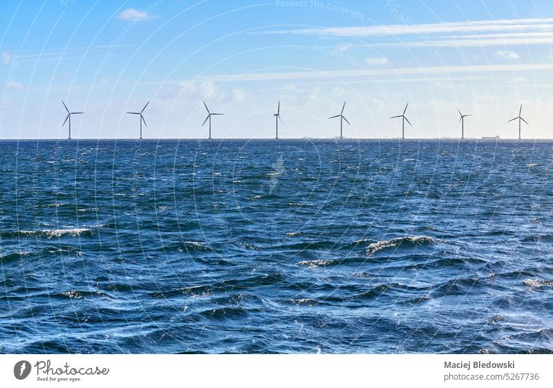 Meer mit einer Reihe von Offshore-Windturbinen in der Ferne an einem sonnigen Tag. Turbine Energie Himmel offshore Bauernhof industriell Umwelt Kraft