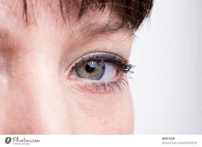 Detail Frauengesicht mit Fokus auf einem Auge Gesicht Wimpern Wimperntusche Kajal Lidschatten Kosmetik Make-up ponyfrisur Iris brünett Augengesundheit Augenarzt