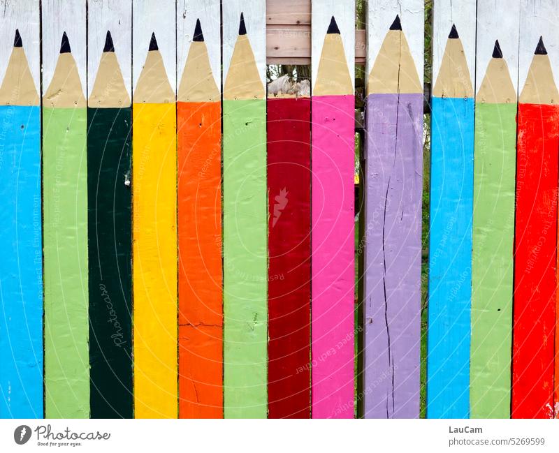 Noch alle Latten im Zaun? Buntstifte Farbstift Lattenzaun anspitzen Anspitzer Holz mehrfarbig Nachbarschaft Kreativität Spitze zeichnen Schreibwaren bunt Stifte