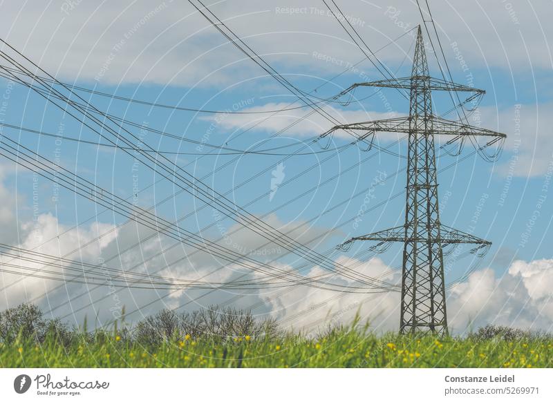 Hochspannungsleitungen am Mast auf Frühlingswiese Spannung Strommast Elektrizität Energie Energiewirtschaft Technik & Technologie Stromtransport Leitung Himmel