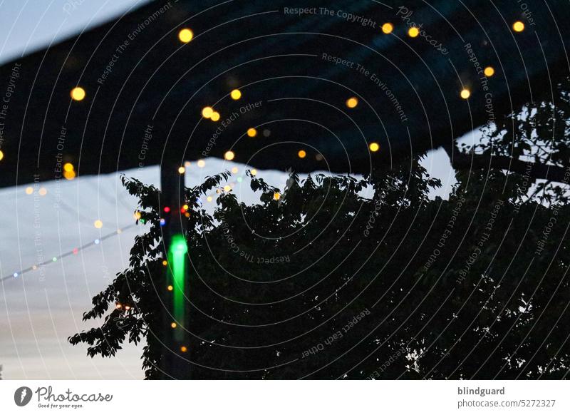 Sommernacht(straum) dunkel abend lichter lichterkette baum segel sonnenuntergang kontrast beleuchtung romantisch led leuchten Abend Lichter Lichterkette Nacht