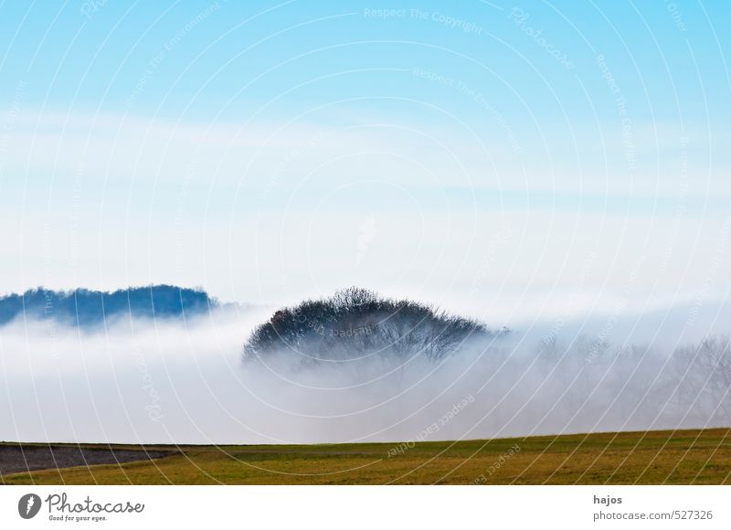Nebelschwaden im Herbst Natur Landschaft Wetter Wiese Feld Wald blau Nebelbank feucht Dunst Himmel Hochebene Schwäbische Alb Biosphärenreservat Jahreszeiten