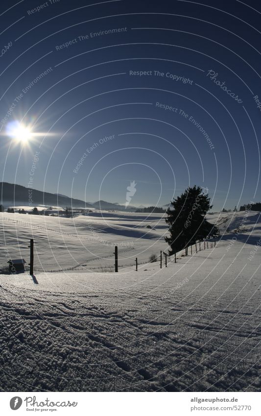 Königswinter Königswinkel Allgäu Roßhaupten Landkreis Ostallgäu Winter Traumlandschaft füssen Schnee Sonne