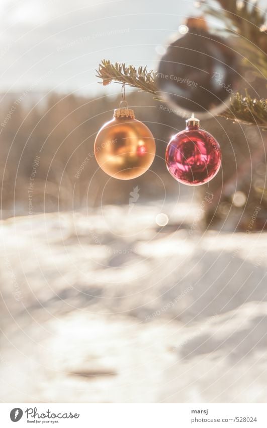Die drei OOO Häusliches Leben Dekoration & Verzierung Feste & Feiern Weihnachten & Advent Natur Landschaft Winter Schönes Wetter Schneelandschaft Kitsch