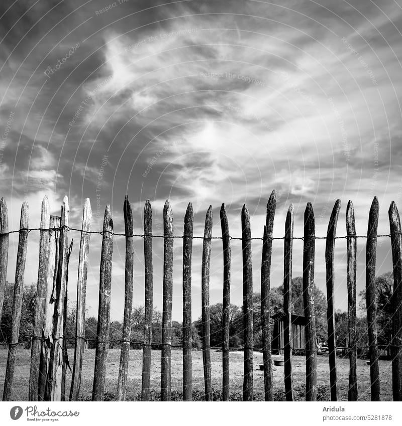 Weidezaun mit Schleierwolken s/w Zaun Schafweide Schafstall Holz Grenze Abgenzung Wiese Wolken schwarz weiß Landwirtschaft Himmel Gras Frühling Durchblick