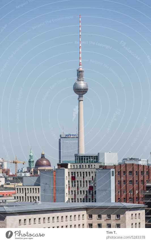 Skyline Berlin Hochformat Fernsehturm Farbfoto Architektur Berliner Fernsehturm Hauptstadt Stadt Himmel Stadtzentrum Sehenswürdigkeit Wahrzeichen Außenaufnahme