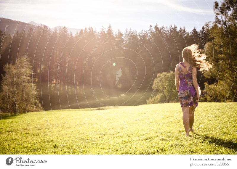 waiting for you... feminin Umwelt Natur Landschaft Wald gehen Farbfoto