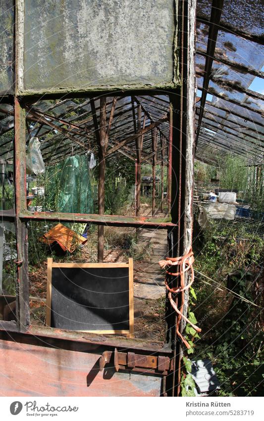 verlassenes gewächshaus glashaus treibhaus gärtnerei lost place alt kaputt fenster scheibe tafel pflanzen natur sonnig