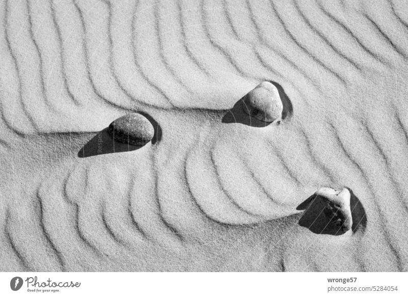 Drei Steine liegen auf einem Sandstrand voller Rippelmarken Ostsee Strand Ostseestrand Ostseeküste Küste Natur Meer Ferien & Urlaub & Reisen Windrippel