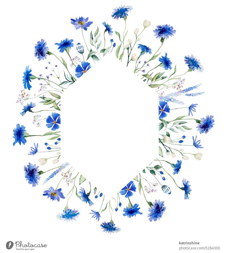 Aquarell blauen Kornblumen und Wildblumen Rahmen, Sommer Hochzeit isoliert Illustration botanisch Centaurea zyanus farbenfroh Dekoration & Verzierung Zeichnung