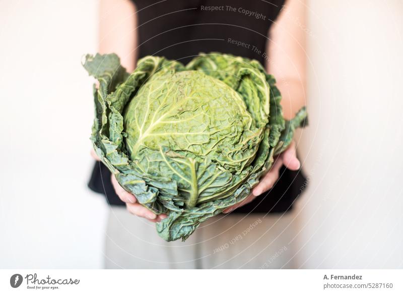 Eine Frau hält einen biologisch angebauten Grünkohl. Konzept des gesunden Verzehrs von Gemüse. Essen Sie Gemüse der Saison. Kohlgewächse Kohlblätter organisch