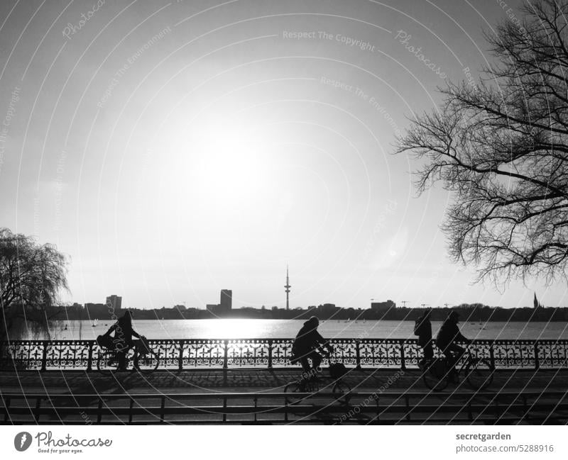 Ein Moment des Lichts. Hamburg Stadt Fahrradfahren Brücke Sommer Wasser Alster See HImmel Baum Schwarzweißfoto Gegenlicht Horizont horizontal Aussicht Turm