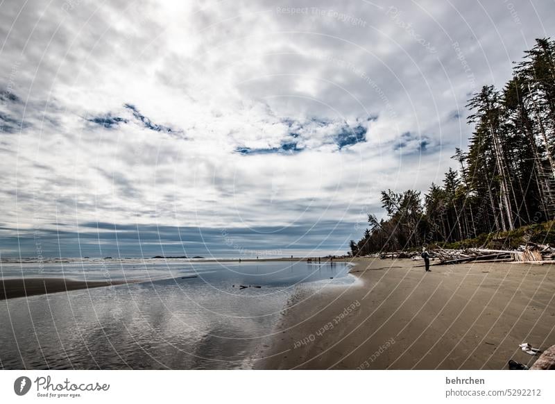 vancouver island British Columbia Long Beach Vancouver Island Kanada Einsam Nordamerika besonders fantastisch Einsamkeit Ferne außergewöhnlich Wasser Meer