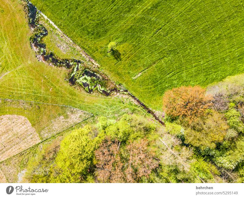 alles ist im fluss Felder Spuren Acker Baumkrone Wald grün Landschaft Vogelperspektive Drohne von oben Blätter Fluss Flußbett