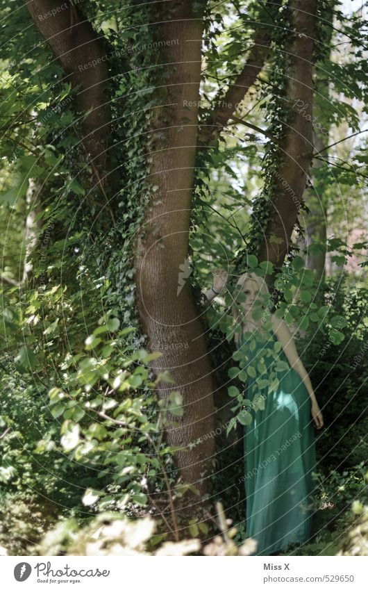 Waldfee Mensch feminin Junge Frau Jugendliche 1 18-30 Jahre Erwachsene Umwelt Natur Pflanze Baum Efeu Grünpflanze Urwald Kleid blond grün Märchenwald Fee Elfe