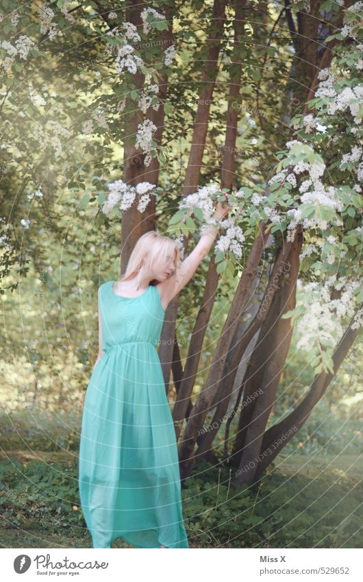 Maid Mensch feminin Junge Frau Jugendliche 1 18-30 Jahre Erwachsene Frühling Sommer Baum Blatt Blüte Park Wald Mode Kleid Blühend schön Erotik grün Gefühle