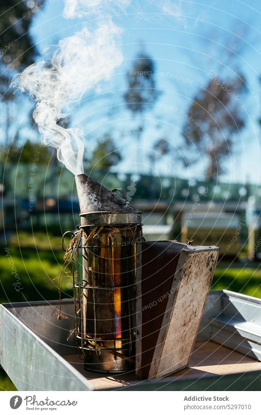 Brennende Bienenräucherung im Bienenhaus Bienenkorb Imker Bienenstock Gerät Rauch Dunst Raucherin ländlich hölzern stehen Landschaft Sommer Werkzeug Natur