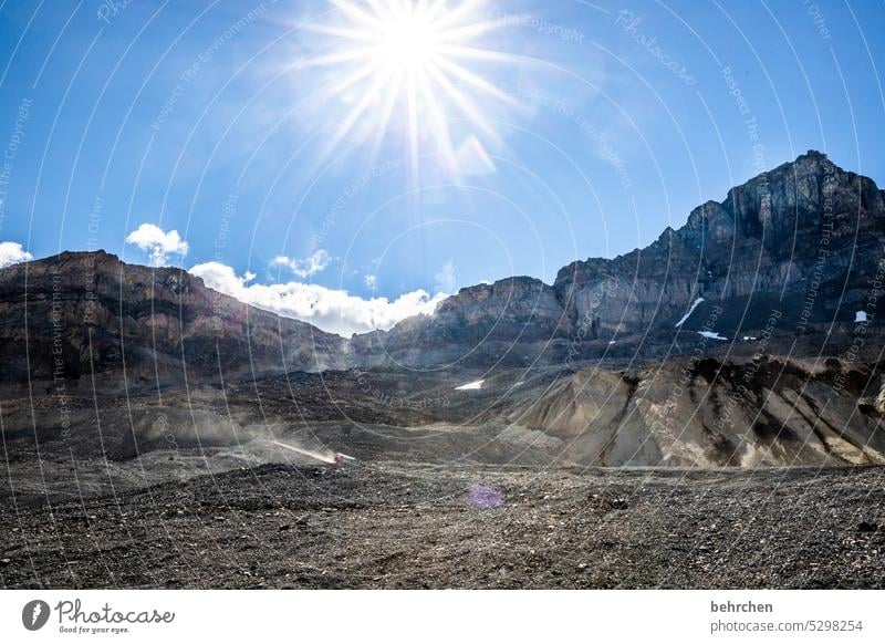 immer wieder kanada Bäume Rocky Mountains Fernweh Wald Ferne Natur Kanada Landschaft Nordamerika