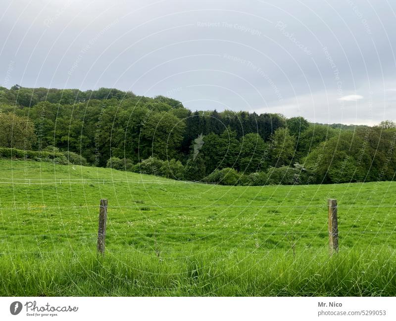 grasgrün Weide Natur Himmel Wald Wiese Gras Landwirtschaft Landschaft Weidelandschaft Zaunpfahl Begrenzung Grasland Landleben Weidezaun landwirtschaftlich