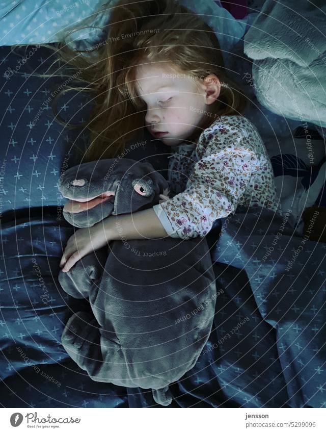 Kleines Mädchen schläft mit Stofftier im Arm schlafen schlafend Schlafanzug Schlafplatz Bett Bettdecke Bettwäsche Kuscheltier Stofftiere Kind kindlich niedlich