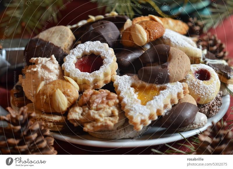 Sammlung | verschiedene Plätzchen auf einem Teller in der Adventszeit Kekse Weihnachten Plätzchenteller Weihnachten & Advent Backwaren Weihnachtsbäckerei