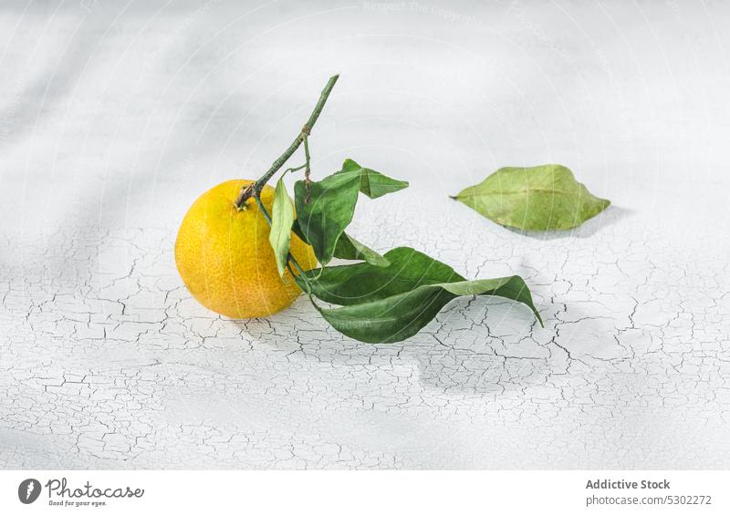 Orangefarbene Mandarine auf weißem Tisch orange Zitrusfrüchte pflanzlich Vorbau Blatt Blätter Frucht Mahlzeit Lebensmittel organisch Gesundheit roh frisch reif