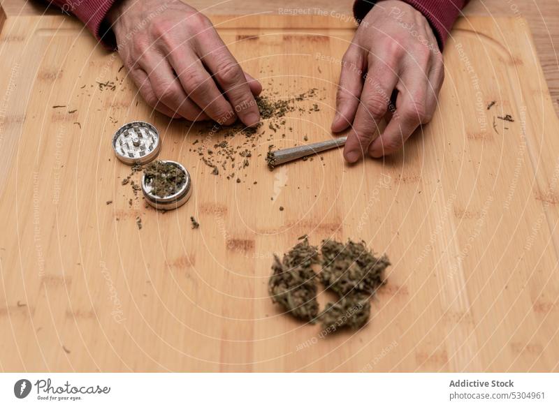 Crop-Mann gibt getrocknetes Cannabis in Marihuana-Mahlwerk Unkraut Gelenk Rauch Medikament Schleifmaschine vorbereiten ganja Cannabinoid Kraut natürlich cbd