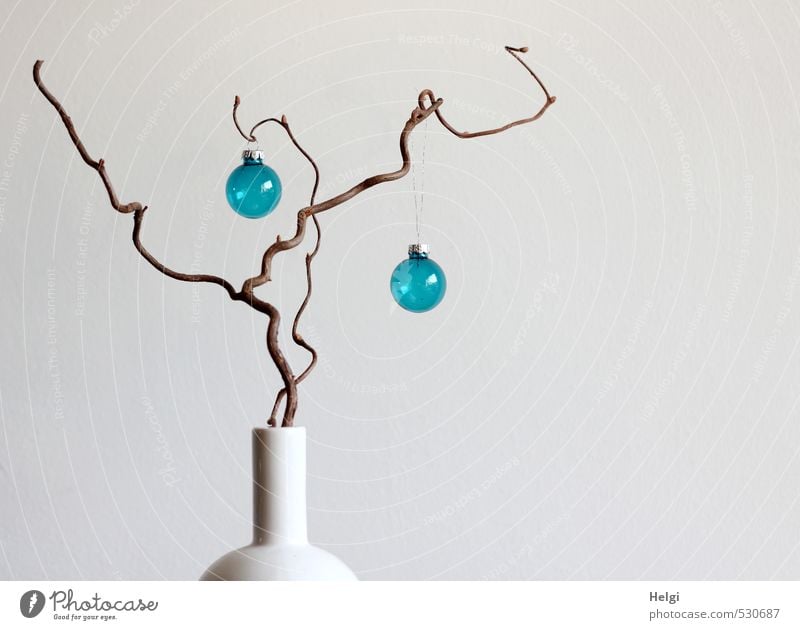 in einer weißen Vase steht ein Kringelzweig, daran hängen zwei blaue Glaskugeln vor weißem Hintergrund Häusliches Leben Wohnung Dekoration & Verzierung