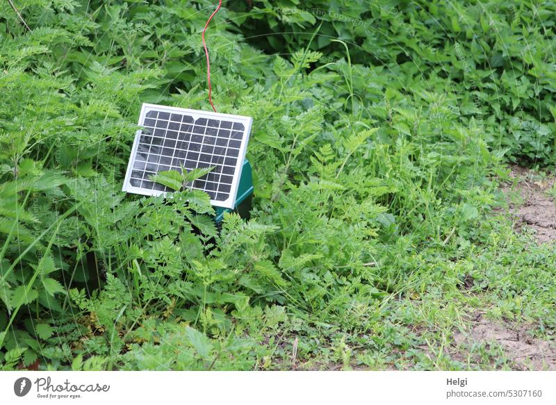Mainfux-UT | Mini-Solarmodul auf einer Weide Energiegewinnung Erneuerbare Energie Energiewirtschaft Sonnenenergie Solarenergie nachhaltig Photovoltaik