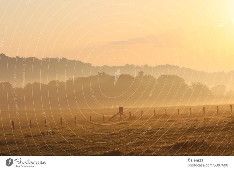 Sonnenaufgang in Essen Sonnenlicht morgenlicht orange Licht Himmel Farbfoto Außenaufnahme Natur Umwelt Menschenleer Feld Zaun Schönes Wetter ruhig Idylle