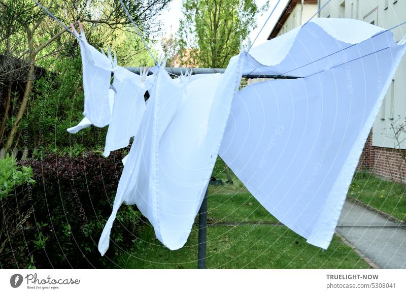 Auf der Wäscheleine zwischen Haus und Garten hängt Wäsche und der Wind weht frisch gewaschen draußen trocknen Waschtag Häusliches Leben Wäsche waschen