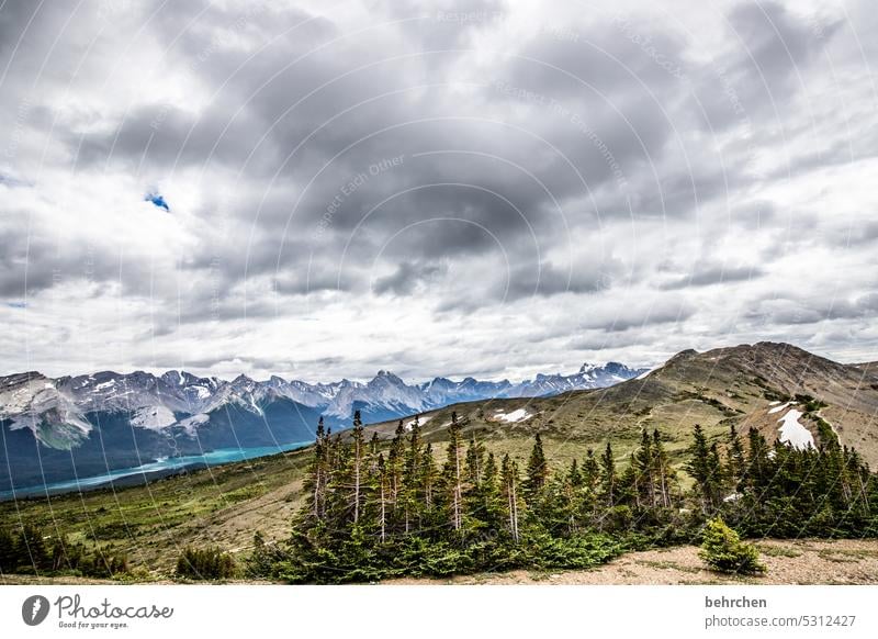 gipfelstürmer besonders Landschaft Nordamerika Alberta Jasper National Park Kanada fantastisch Himmel Berge u. Gebirge Ferne Fernweh Rocky Mountains