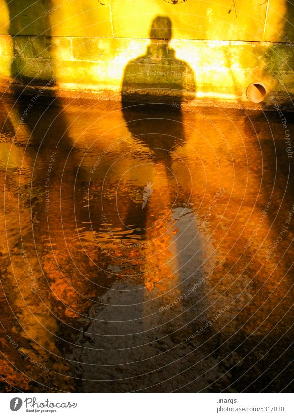 Goldener Herbst Farbe golden goldener oktober gelb orange Schatten Silhouette Mensch Wand Wasser Jahreszeiten Herbstfärbung goldener Oktober Herbststimmung