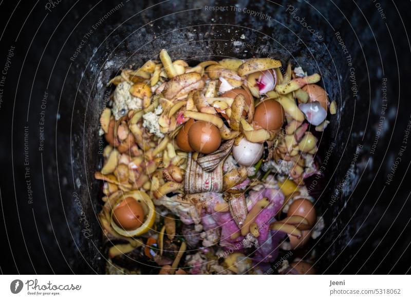 Bioabfälle in der Biotonne Recycling Schalen Gemüse Küchenabfall Küchenreste Biomüll Vogelperspektive Müllverwertung Müllbehälter dreckig verrotten Eierschale