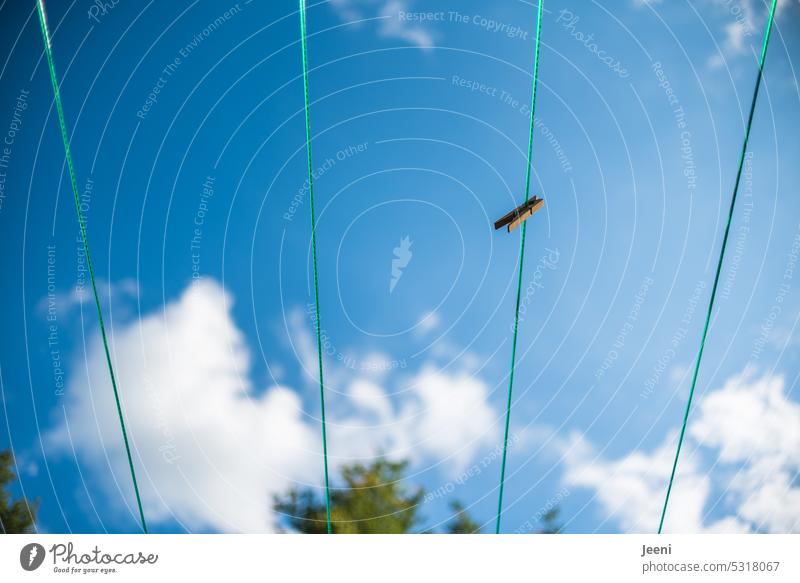 Wäscheleinen mit einer Wäscheklammer Waschtag Haushalt trocknen Klammer frisch waschen Häusliches Leben Sommer Himmel Wolken blau weiß Waschen luftig draußen