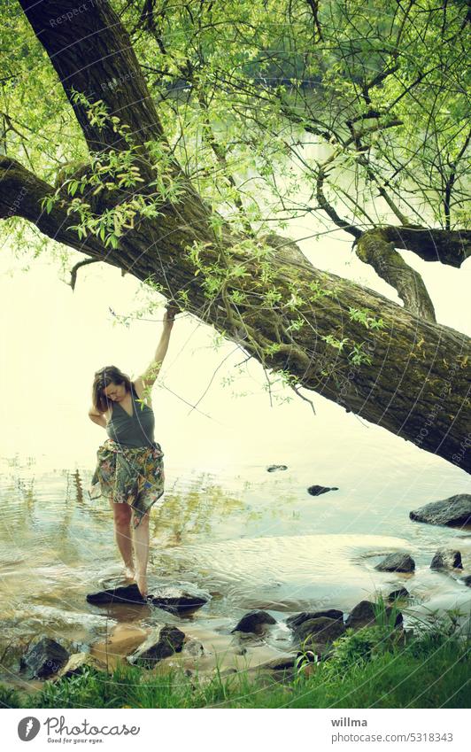 Verträumte Frau steht im Wasser am Flussufer Main nackte Füße nackte Beine baden Idylle romantisch Ufer Barfuß Erholung feminin Mensch Weide Baum verträumt