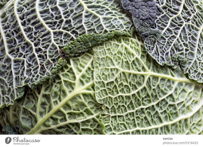 Nahaufnahme grüner Wirsingblätter Gemüse Blätter Struktur Ernährung Lebensmittel Vegetarische Ernährung Bioprodukte frisch Gesunde Ernährung Foodfotografie
