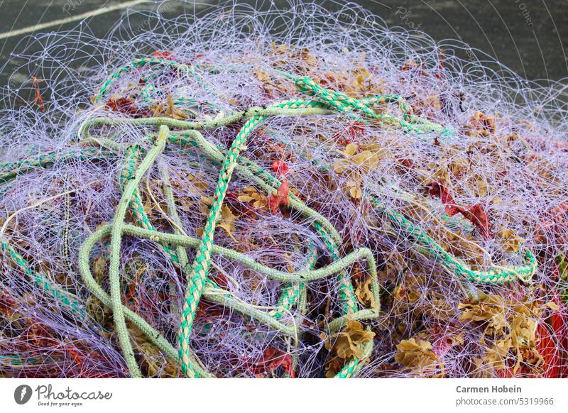 bunte Fischernetze und Taue auf einem Haufen Urlaub Fischernetze Netze Außenaufname nahaufnahme Farbfoto Fischrei Meer Seil Fang fangen Fischereiwirtschaft